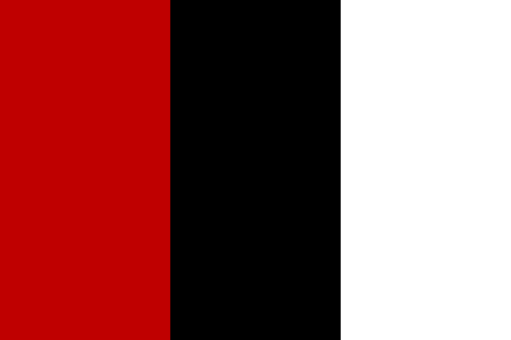 Afghanistan flag during Habibullah Kalakani's rule (1929). Vertical tricolor of black, red, and white stripes.