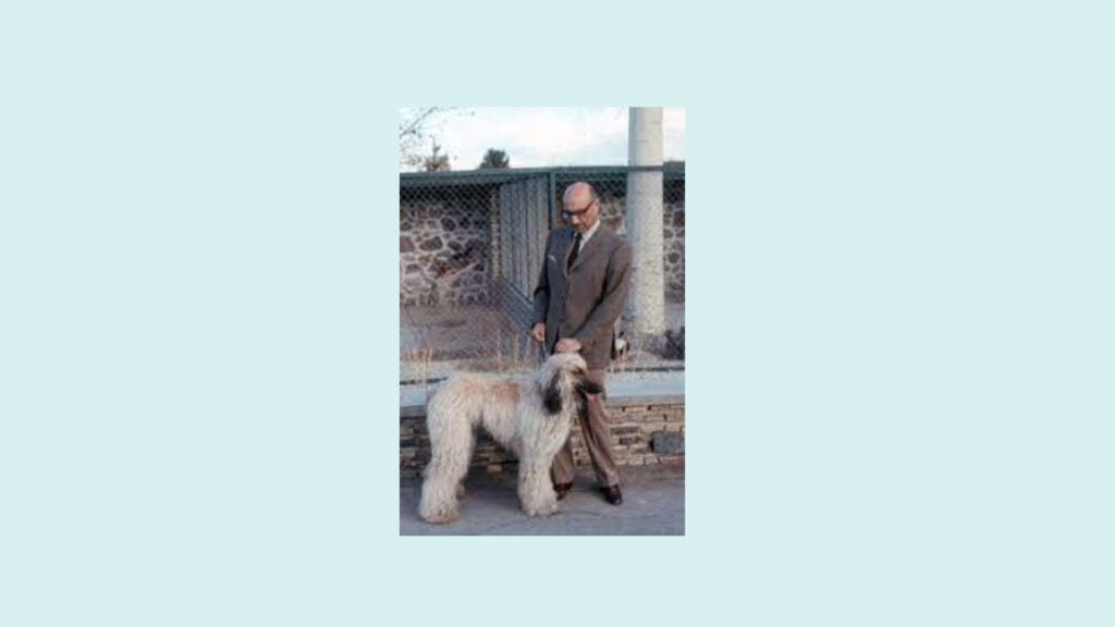 Former Afghan King Mohammad Zahir Shah standing next to an Afghan Hound, both positioned in front of a fenced area. The King is dressed in a suit, and the dog has a long, flowing coat typical of its breed.