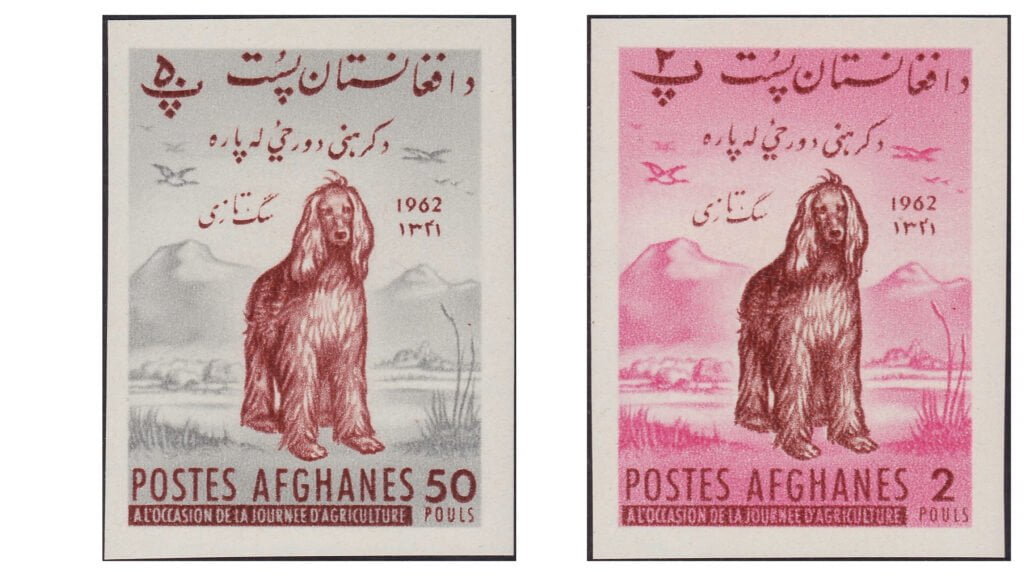 These Afghan postage stamps from 1962 feature illustrations of the Afghan Hound, a breed of significant cultural importance in Afghanistan. The stamps, with denominations of 2 Pouls (pink) and 50 Pouls (grey and red), were issued for Agricultural Day. They highlight the Afghan Hound's esteemed status and historical role in Afghan society, symbolizing the breed's elegance, nobility, and deep-rooted heritage. The mountainous backdrop emphasizes the breed's origin and the rugged terrain of Afghanistan where these hounds have been companions of hunters and royalty.