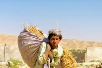 A young Afghan boy in traditional attire strains under the weight of a large sack filled with straw or dried grass. The dry, barren landscape and his intent gaze convey the physical burden and challenging environment.